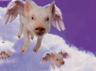 Pigs Flying, Flying Pigs